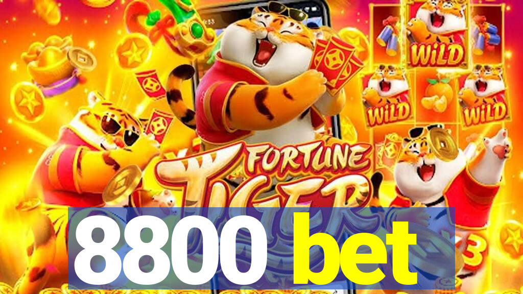 8800 bet